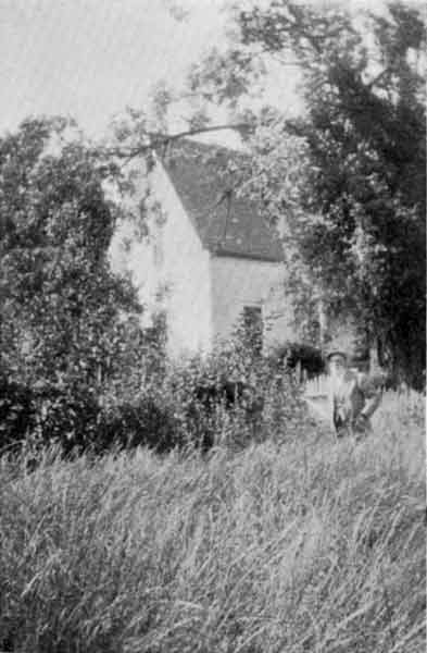 Ben Taylor and His Home, Grass Valley, Showing the Spruce He Planted Nearly Half a Century Ago