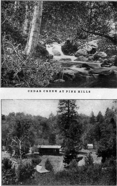 Cedar Creek at Fine Hills and Scene Near Fine Hills Lodge