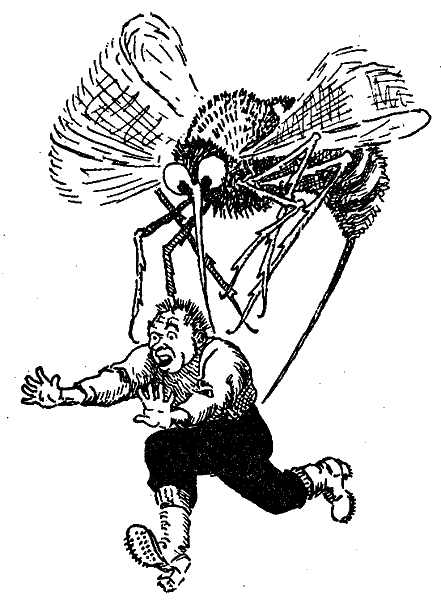 Mosquito-Bee