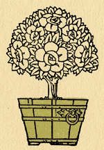 Flowering Tree in Pot